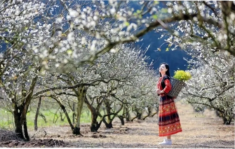 Cảnh sắc thiên nhiên hùng vĩ của Lai Châu