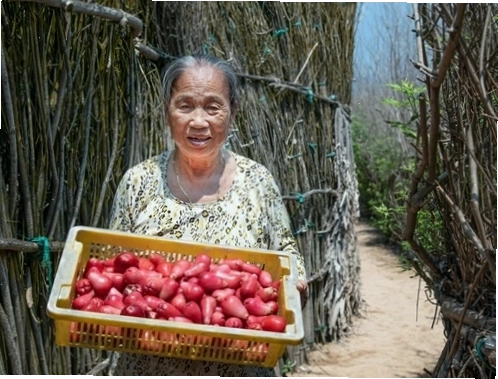 Cảnh sinh hoạt đời thường của người dân trên đảo Phú Quý