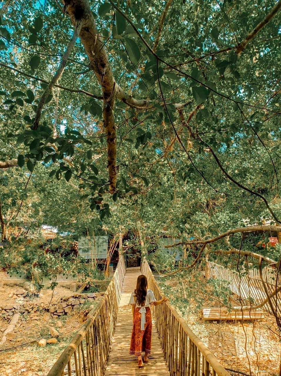 Cảnh sinh hoạt tại Buôn Đôn