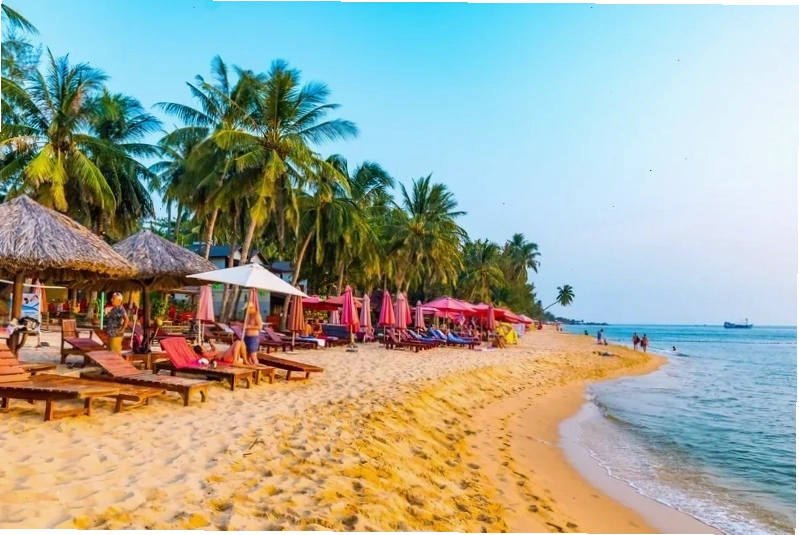Cảnh sương mù bao phủ Đà Lạt vào buổi sáng sớm