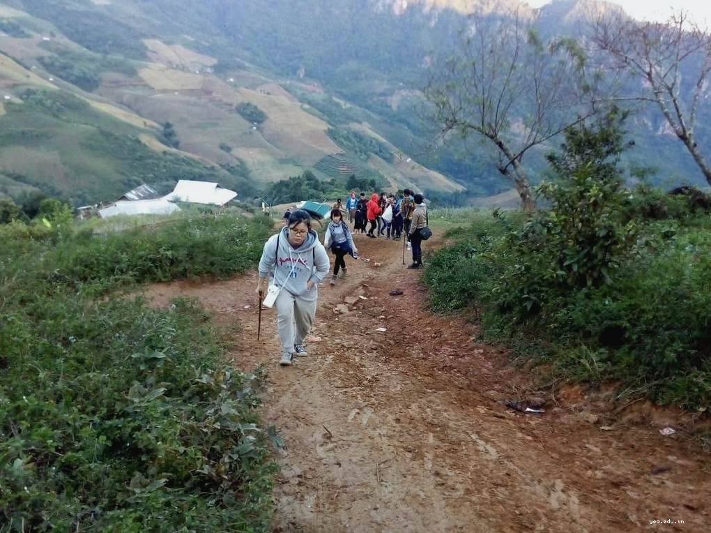 Cảnh tượng mây trắng bồng bềnh trên đỉnh Pha Luông