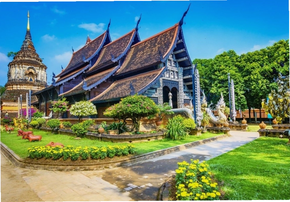 Cảnh tượng những chú voi đang biểu diễn tại Mae Taeng Elephant Camp