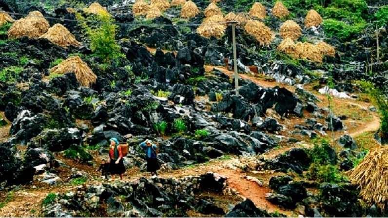 Cao nguyên đá Đồng Văn hùng vĩ