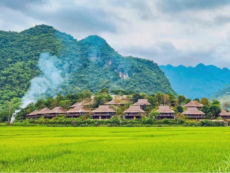 Cao nguyên Mộc Châu với những cánh đồng hoa cải trắng tinh khôi
