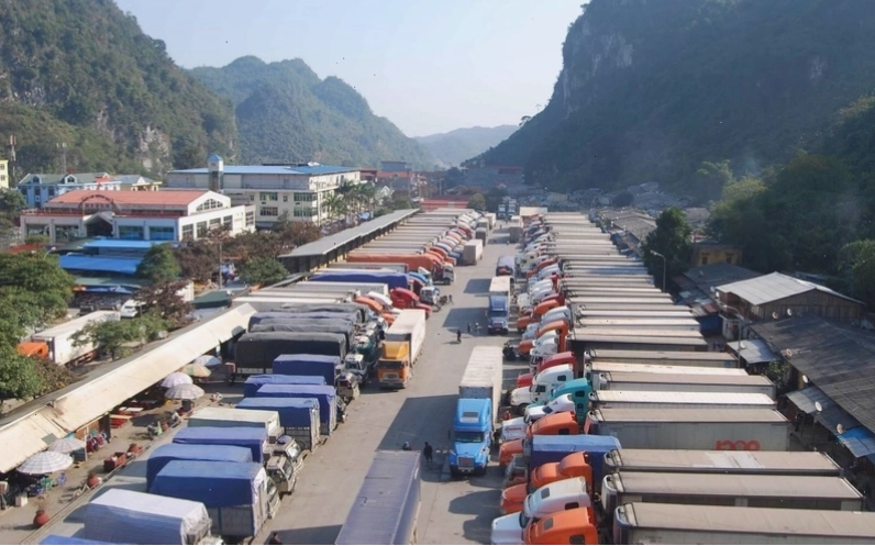Cập nhật thông tin thị trường thường xuyên để ứng phó với tắc biên