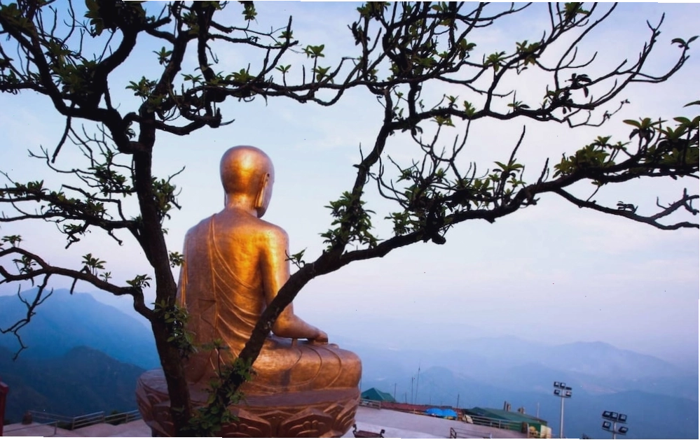 Cáp treo Tây Yên Tử ngắm cảnh núi rừng