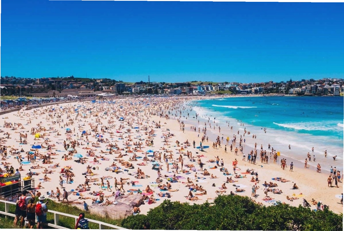 Cầu Cảng Sydney hùng vĩ bắc qua bến cảng xanh thẳm