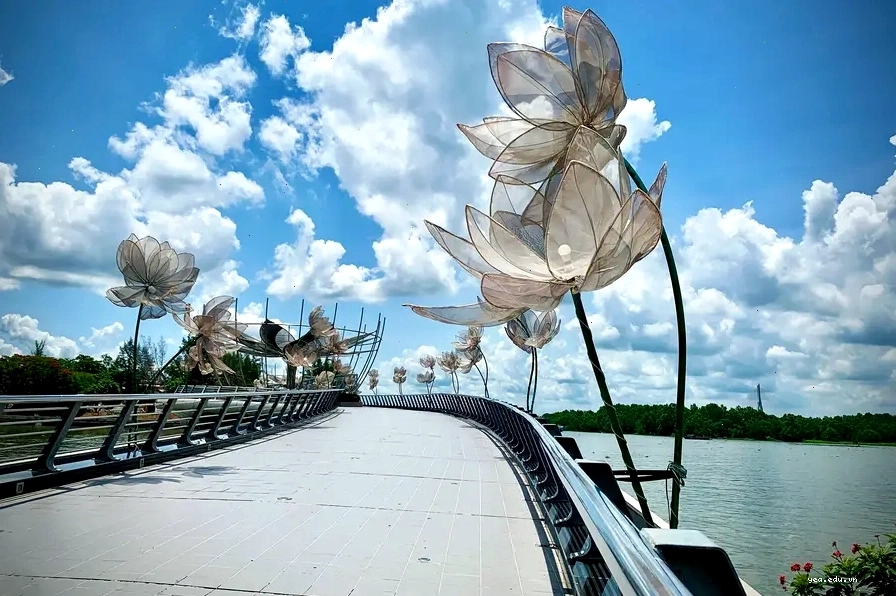 Cầu đi bộ Ninh Kiều về đêm