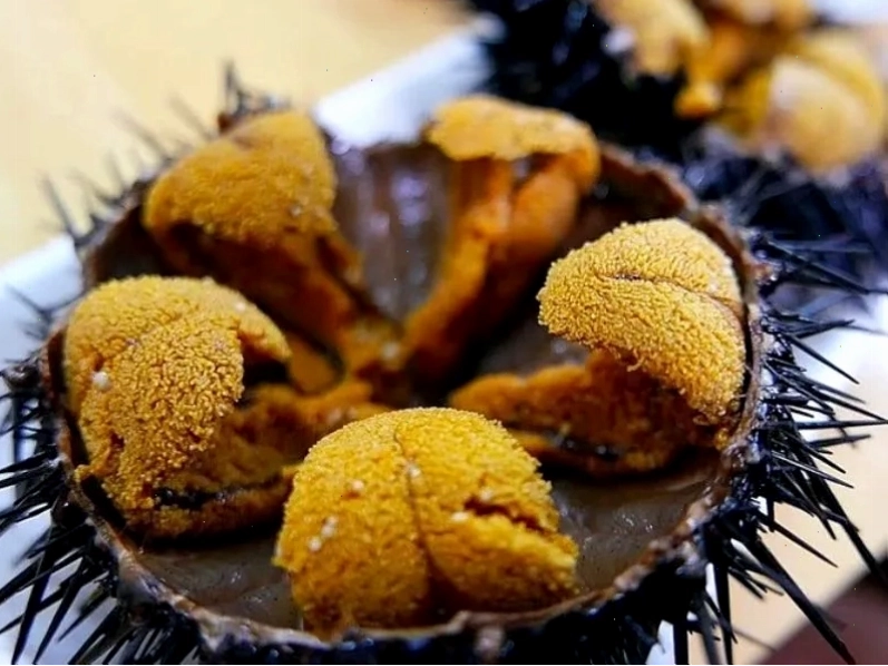 Cầu gai biển uni tươi ngon