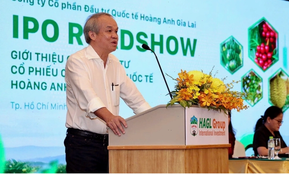 Câu lạc bộ bóng đá Hoàng Anh Gia Lai trên sân nhà