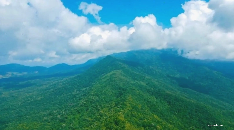 Cầu treo Kon Klor bắc qua sông Đăk Bla thơ mộng