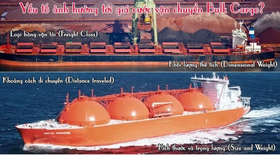 Cấu trúc tàu chở hàng rời Bulk Carrier