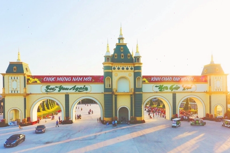 Cây cầu chữ X giữa đồng sen tại Làng nổi Tân Lập