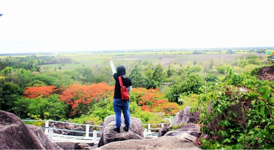 Cây cầu rêu phong tại Đồi Mộng Mơ, Đà Lạt giống Vạn Lý Trường Thành