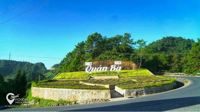 Cây cô đơn Hà Giang vào mùa hoa tam giác mạch