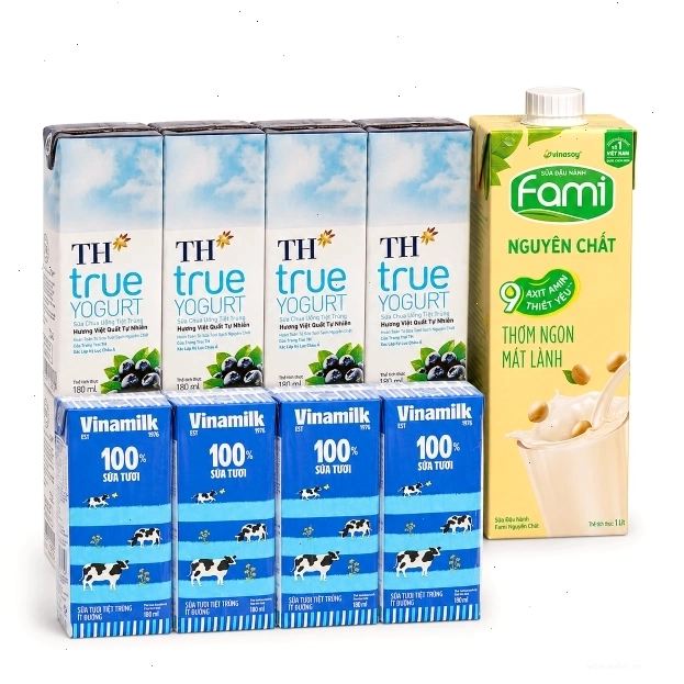 Cây đa Tân Trào - chứng nhân lịch sử