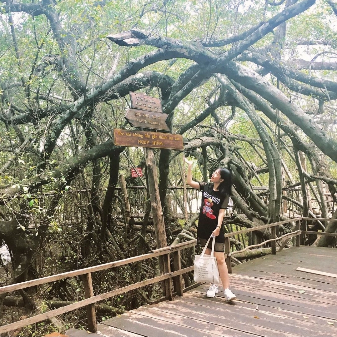 Cây si cổ thụ bên sông Sêrêpốk