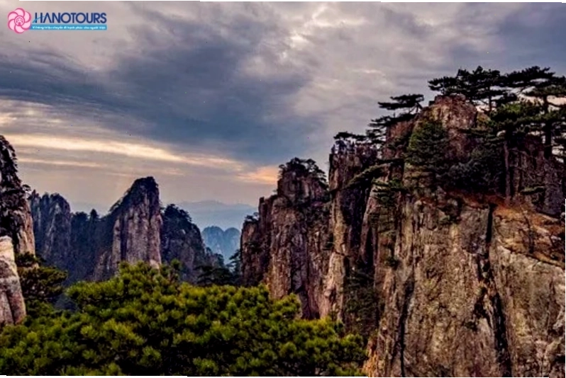 Cây thông có hình dáng độc đáo trên núi Hoàng Sơn