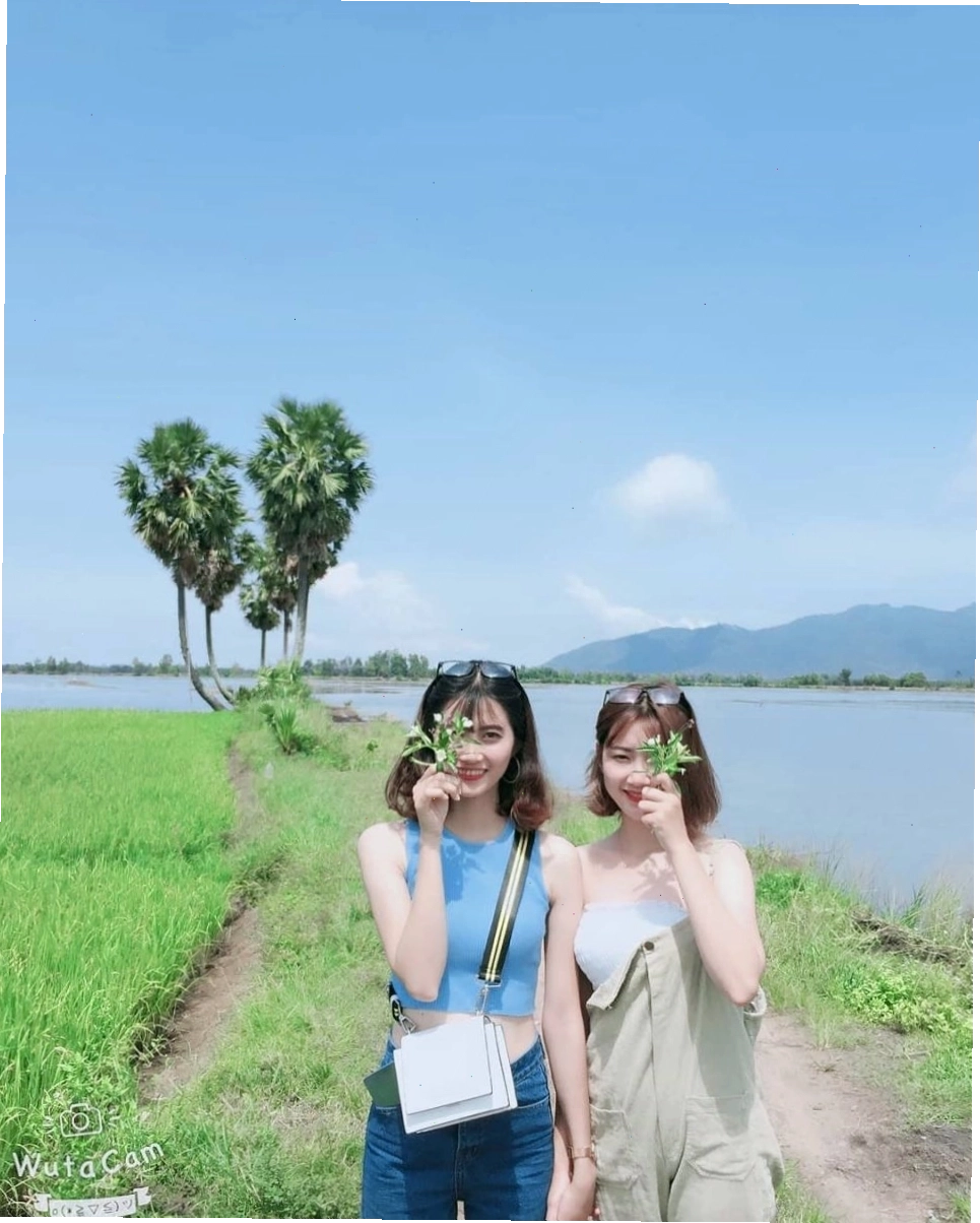 Cây thốt nốt hình trái tim ở An Giang