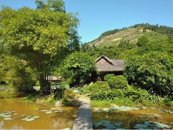Cây tre - biểu tượng của sự kiên cường và tinh thần Việt Nam
