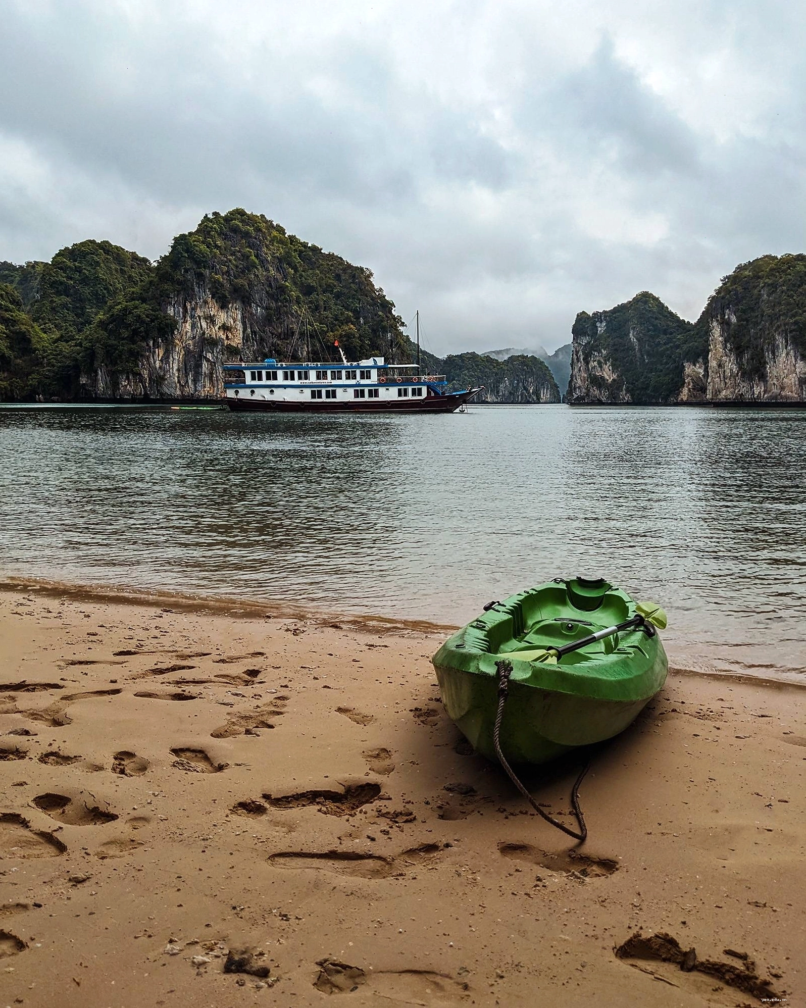Chèo kayak khám phá vịnh