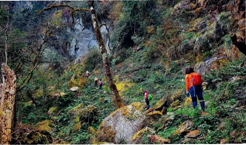 Chèo thuyền kayak trên vịnh Hạ Long