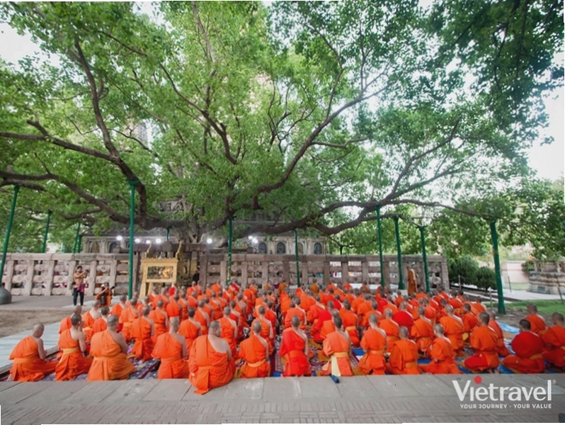 Chiêm bái Tứ Động Tâm trong tour Ấn Độ Nepal