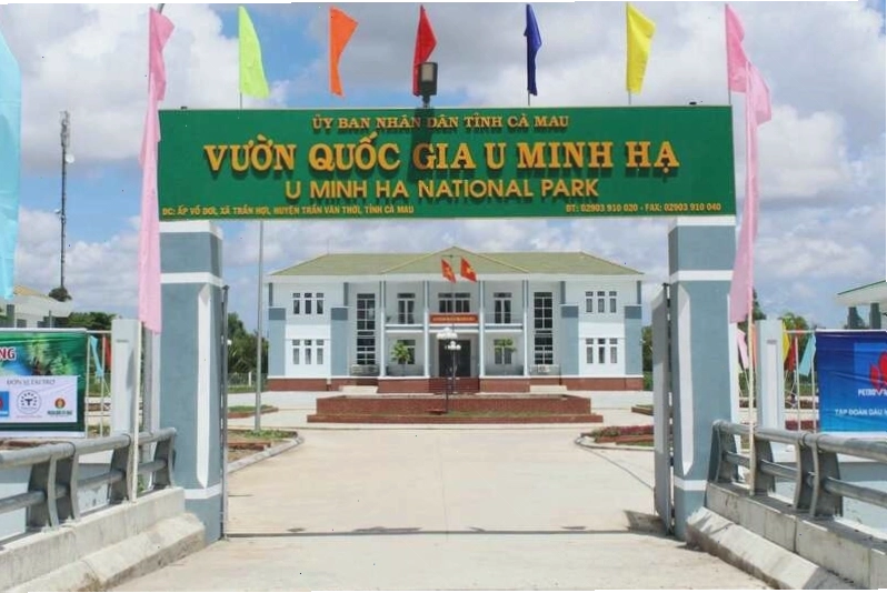 Chiêm ngưỡng Vườn quốc gia U Minh Hạ, vẻ đẹp thiên nhiên trù phú