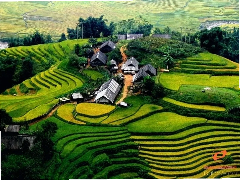 Chợ Mường Lò bày bán nhiều sản vật địa phương