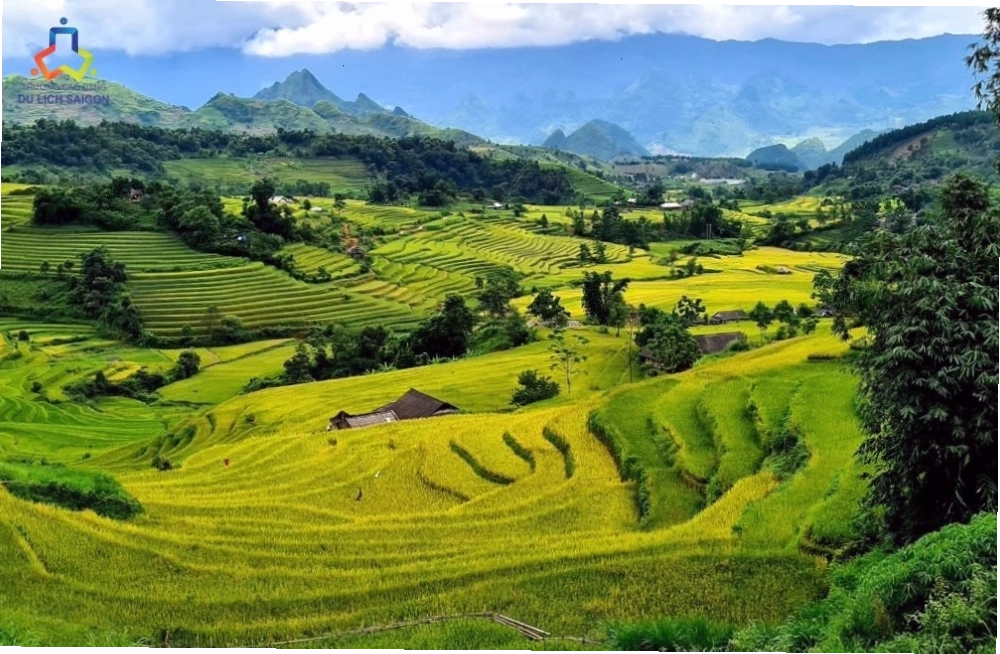 Chợ nổi Cái Răng - Phát triển du lịch xanh