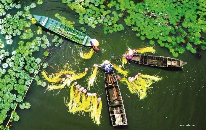 Chợ nổi miền tây tấp nập thuyền bè mua bán, đặc trưng của hình nền sông nước miền tây