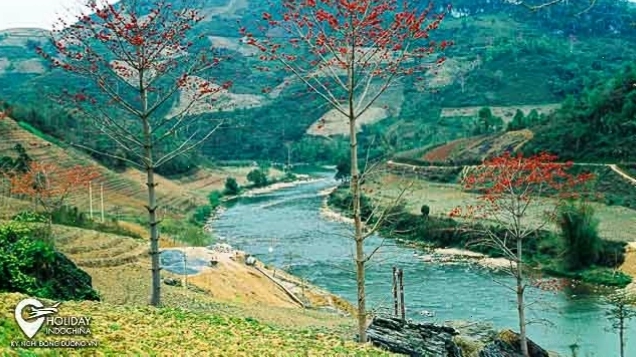 Chợ phiên vùng cao Hà Giang với nhiều sản vật địa phương