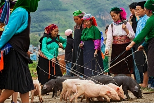 Chợ phiên vùng cao Tây Bắc nhộn nhịp