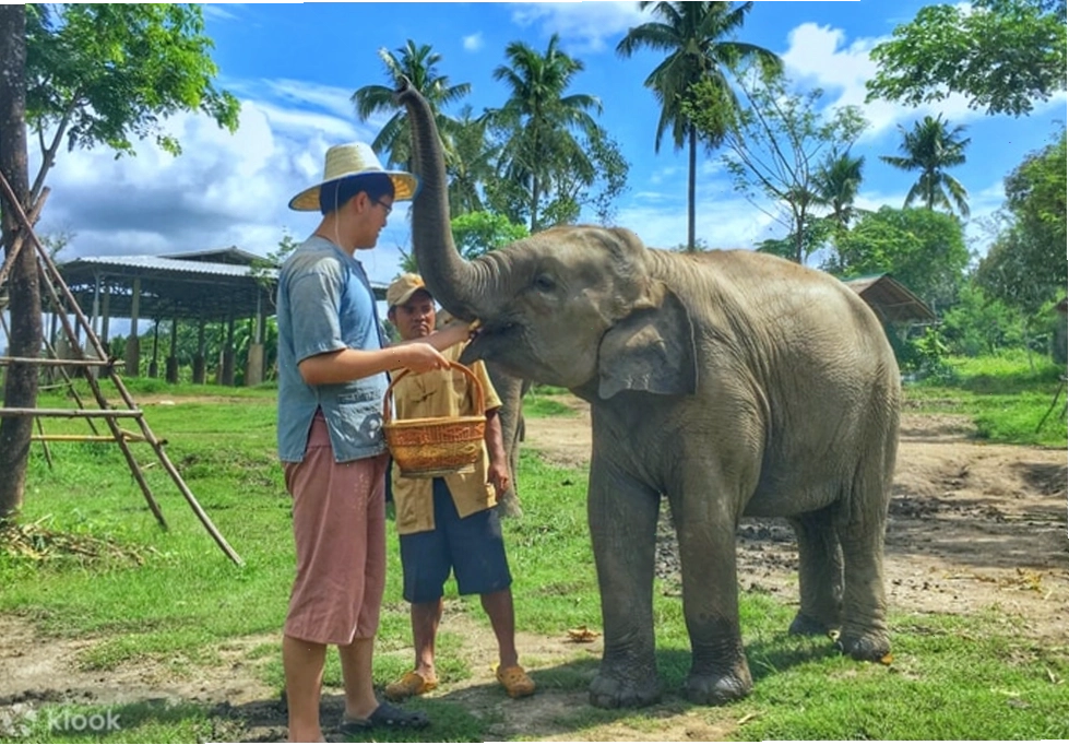 Chùa Doi Suthep cổ kính soi bóng trên nền trời Chiang Mai