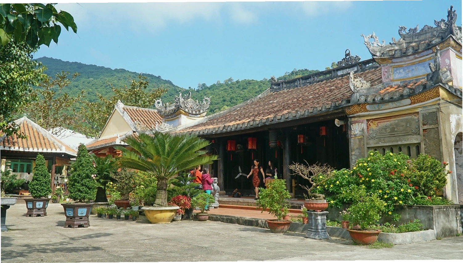 Chùa Hải Tạng cổ kính trên đảo Cù Lao Chàm