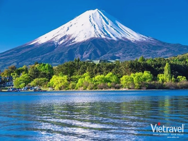 Chùa Vàng Kinkaku-ji nổi bật tại Kyoto