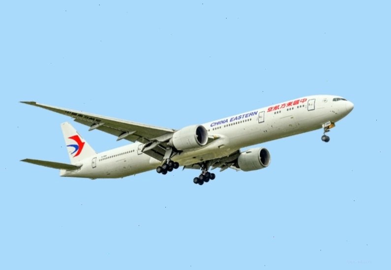 Chuẩn bị vé máy bay và đặt phòng khách sạn