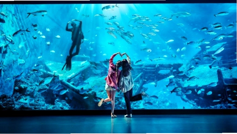 Chụp ảnh kỷ niệm ấn tượng tại Sea Aquarium Singapore