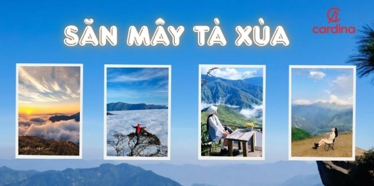 Chụp ảnh Tà Xùa: Hơn cả một khoảnh khắc, là cả một hành trình cảm xúc