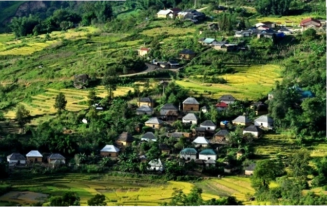 Cô bé chăn trâu trên đỉnh Khau Phạ