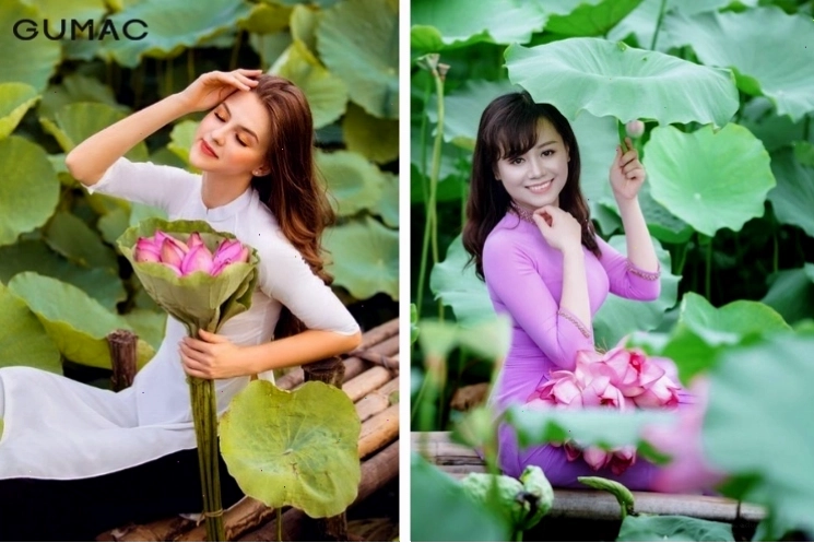 Cô gái diện áo dài trắng thướt tha chụp ảnh bên đầm sen