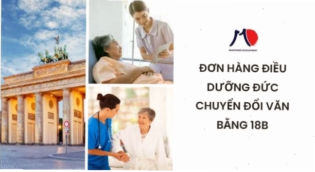 Cơ hội việc làm đa dạng tại miền Nam Nhật Bản.
