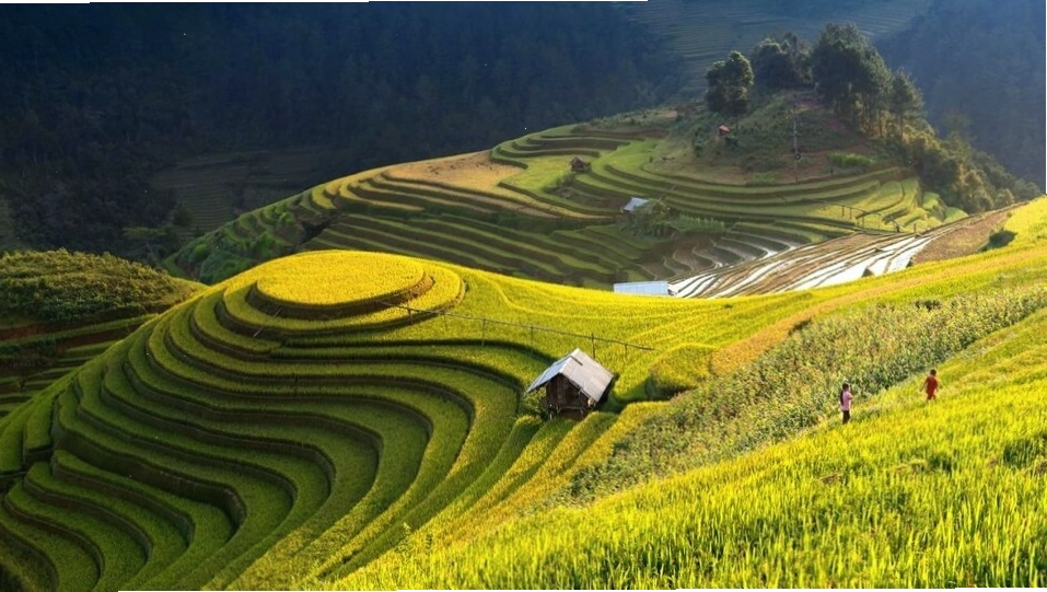 Con đường dẫn lên Cổng Trời Sa Pa
