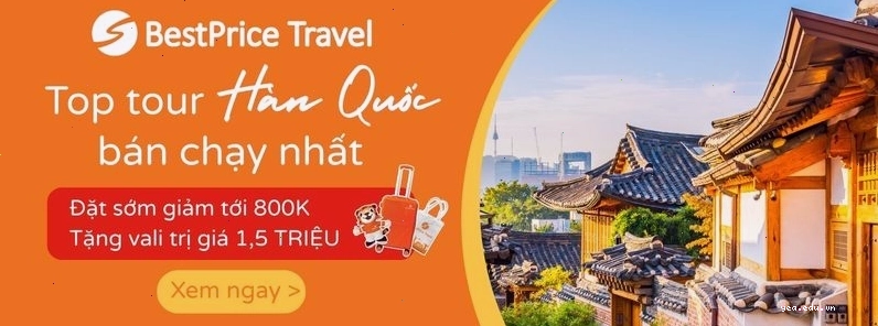 Con đường lá đỏ lãng mạn ở Hàn Quốc vào mùa thu
