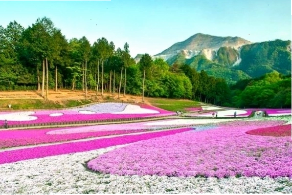 Con đường mòn xanh mướt giữa rừng trúc Arashiyama, Kyoto