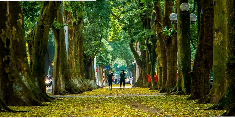 Con đường Phan Đình Phùng rợp bóng cây xanh là địa điểm hẹn hò lãng mạn ở Hà Nội