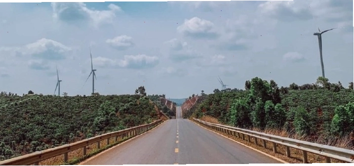 Con đường vào cánh đồng điện gió Đắk Đoa với hai bên là cỏ đuôi chồn