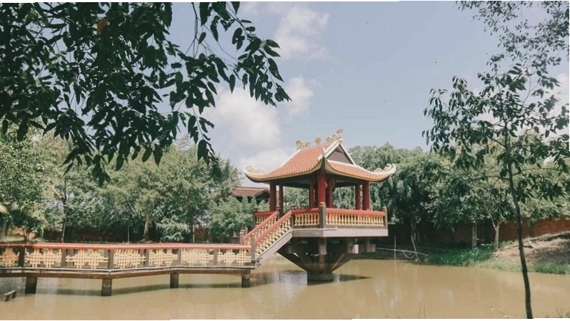 Con đường xuyên rừng tràm xanh mướt tại Làng nổi Tân Lập