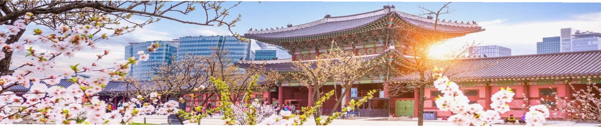 Cộng đồng người Việt trên mạng xã hội