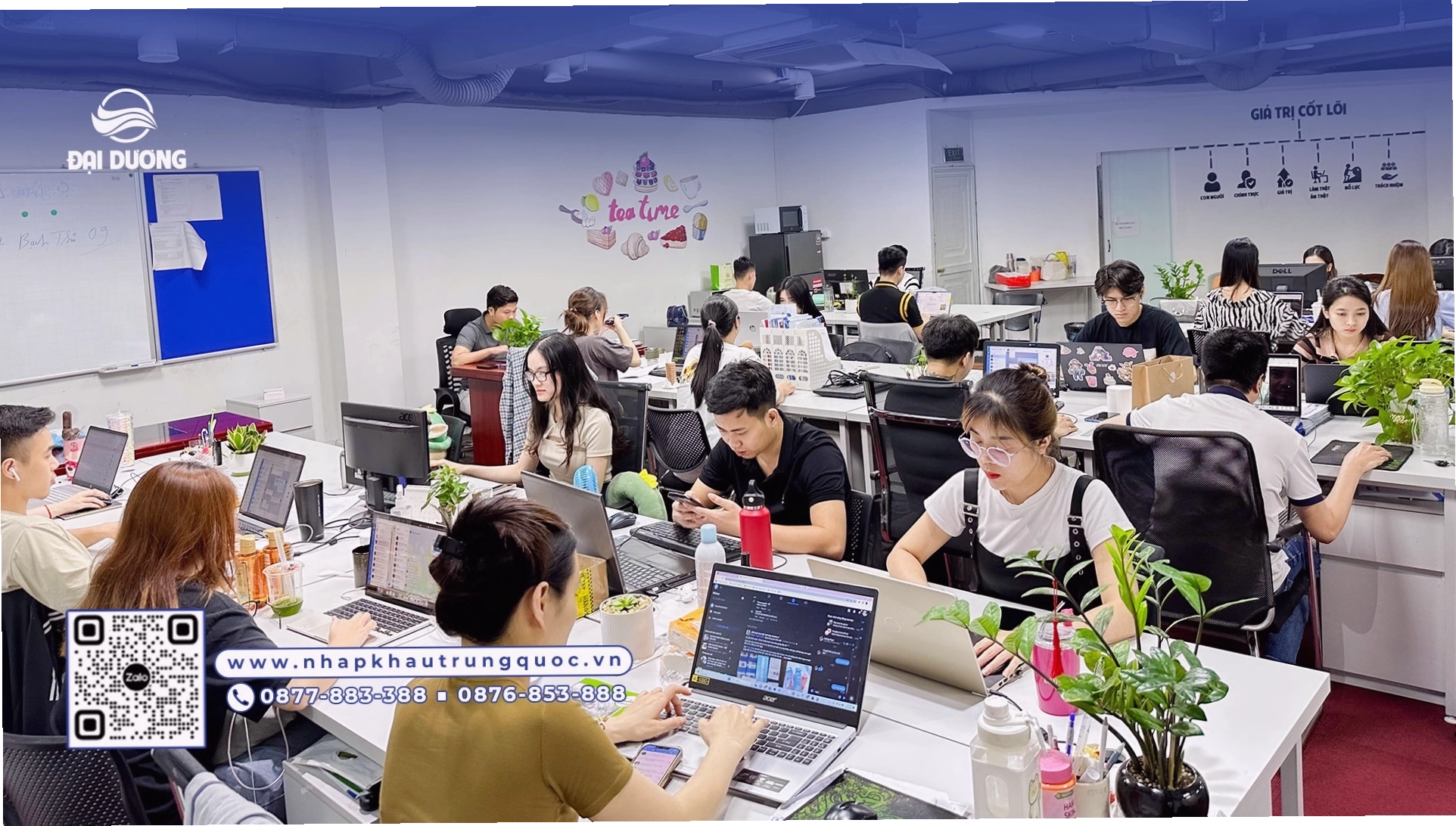 Công ty Xuất nhập khẩu Trung Quốc Đại Dương - đơn vị nhập hàng chính ngạch uy tín